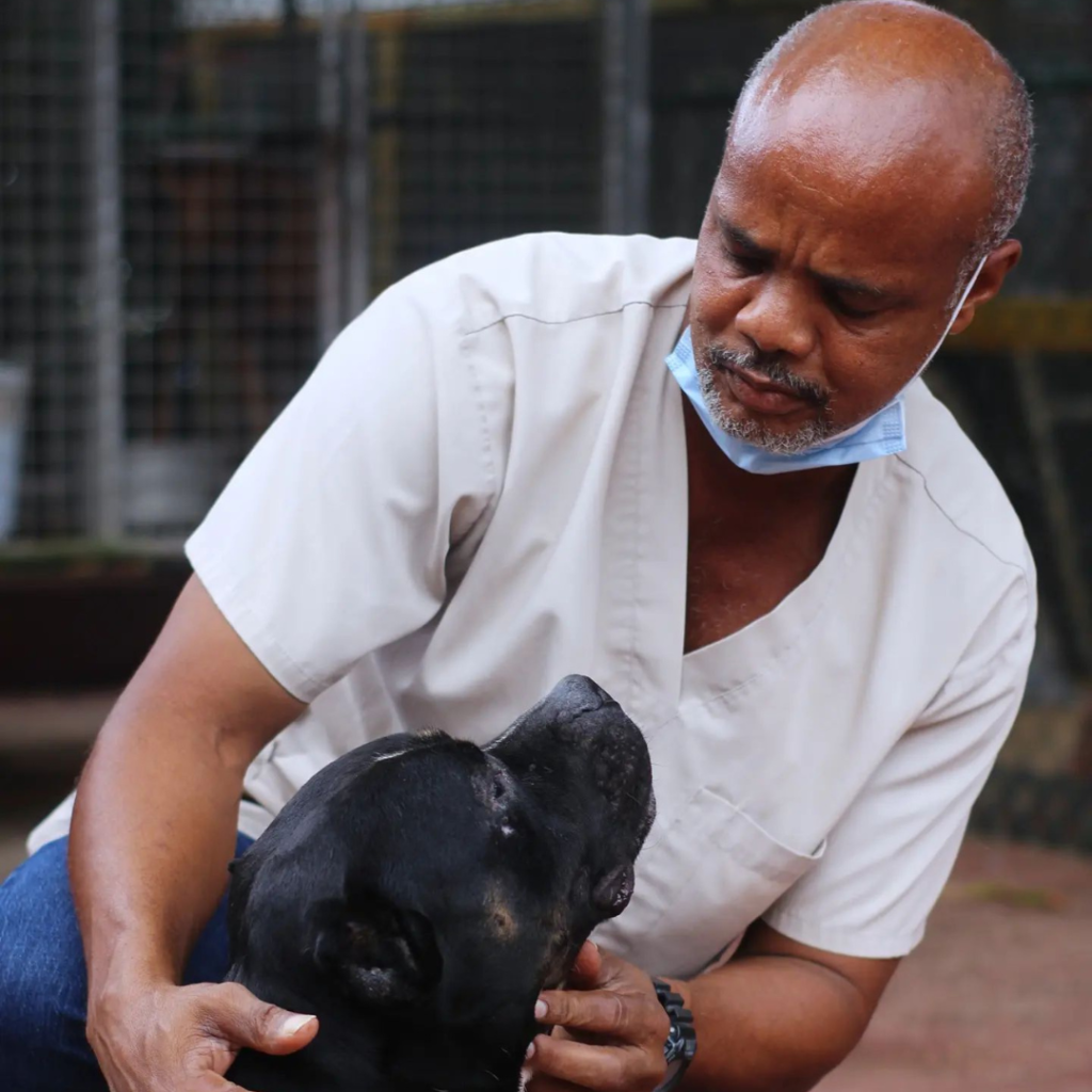 Man examining a black dog