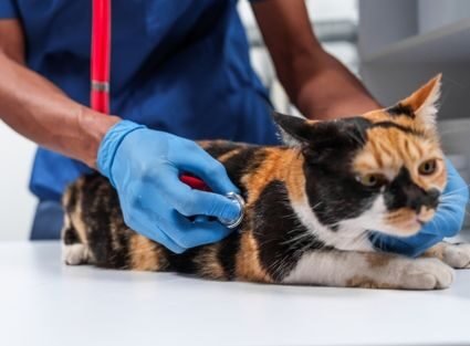 Emergency Care Emergency Care