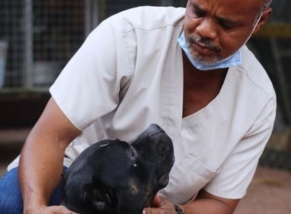 House Calls House Calls