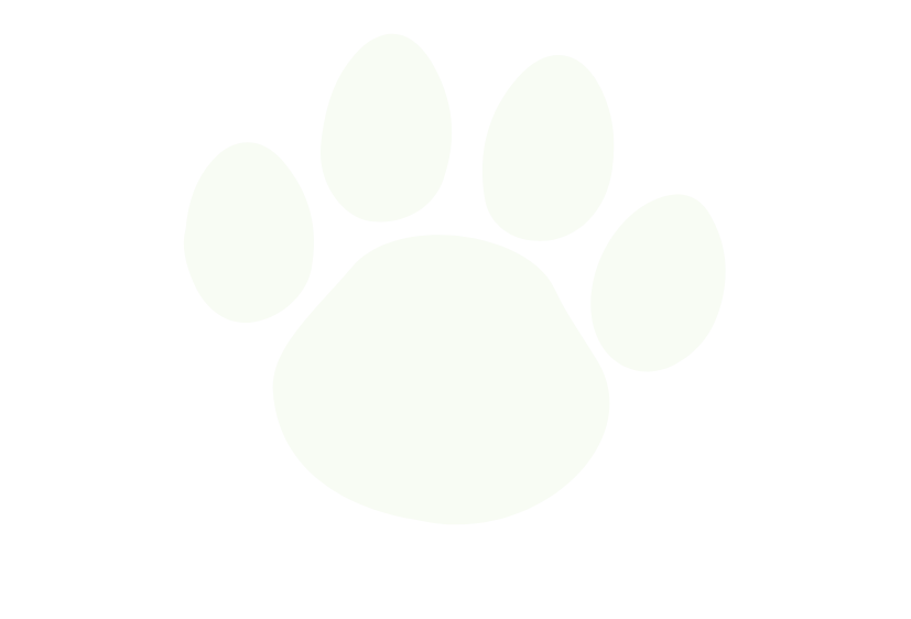 Untitled design (30)