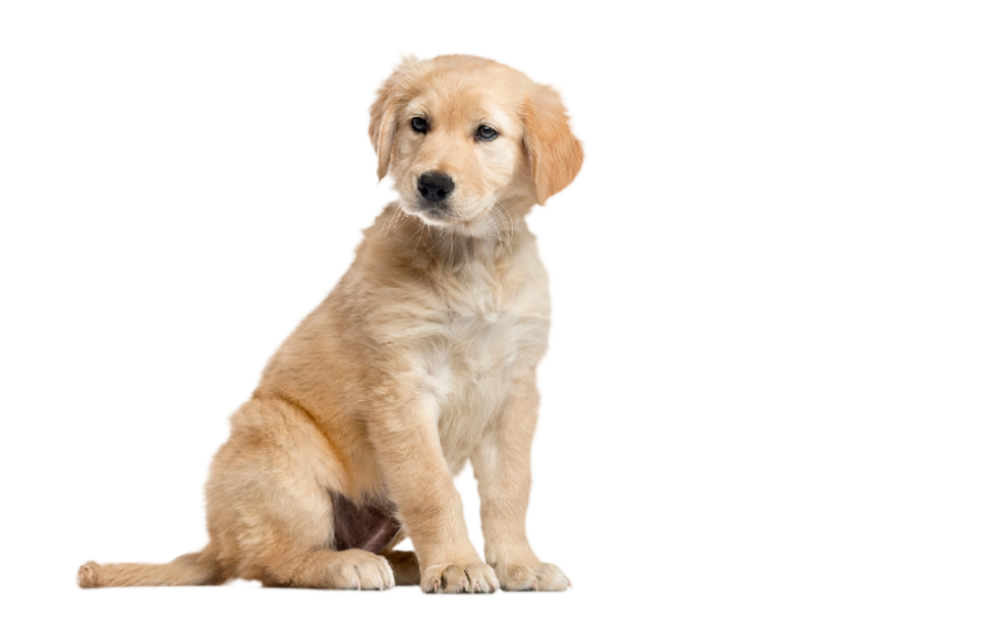 Untitled design (41)