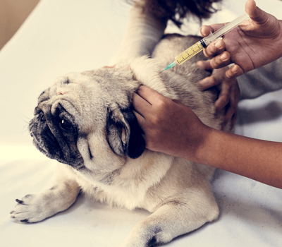 Untitled design (11)