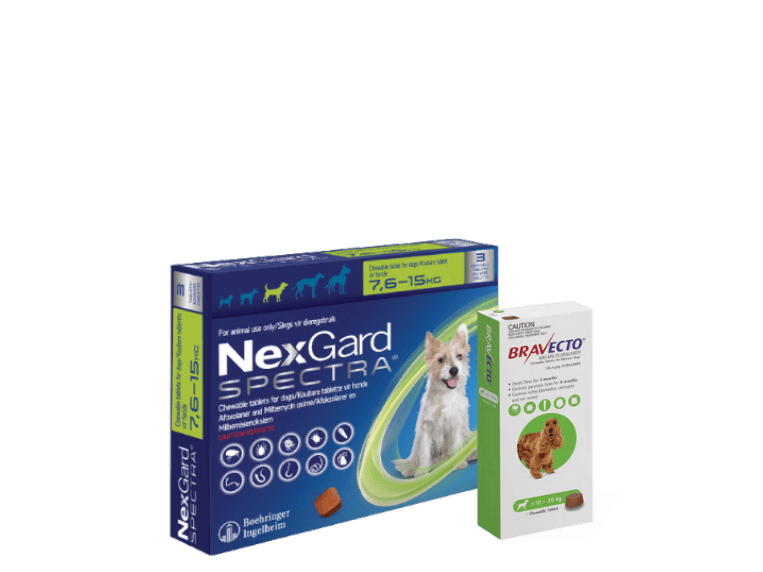 Untitled design (17)