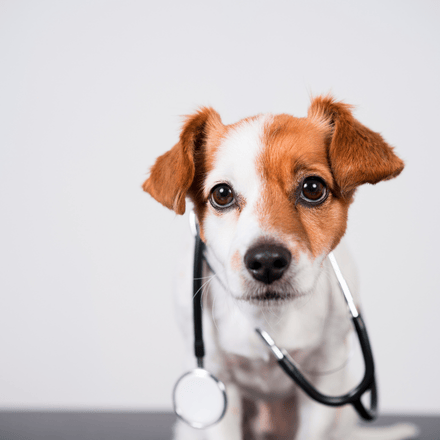 Untitled design (32)