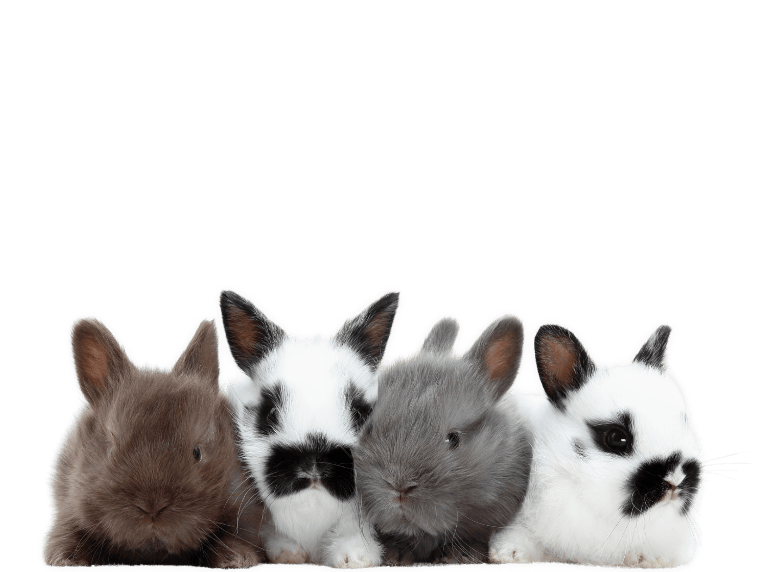 Untitled design (78)